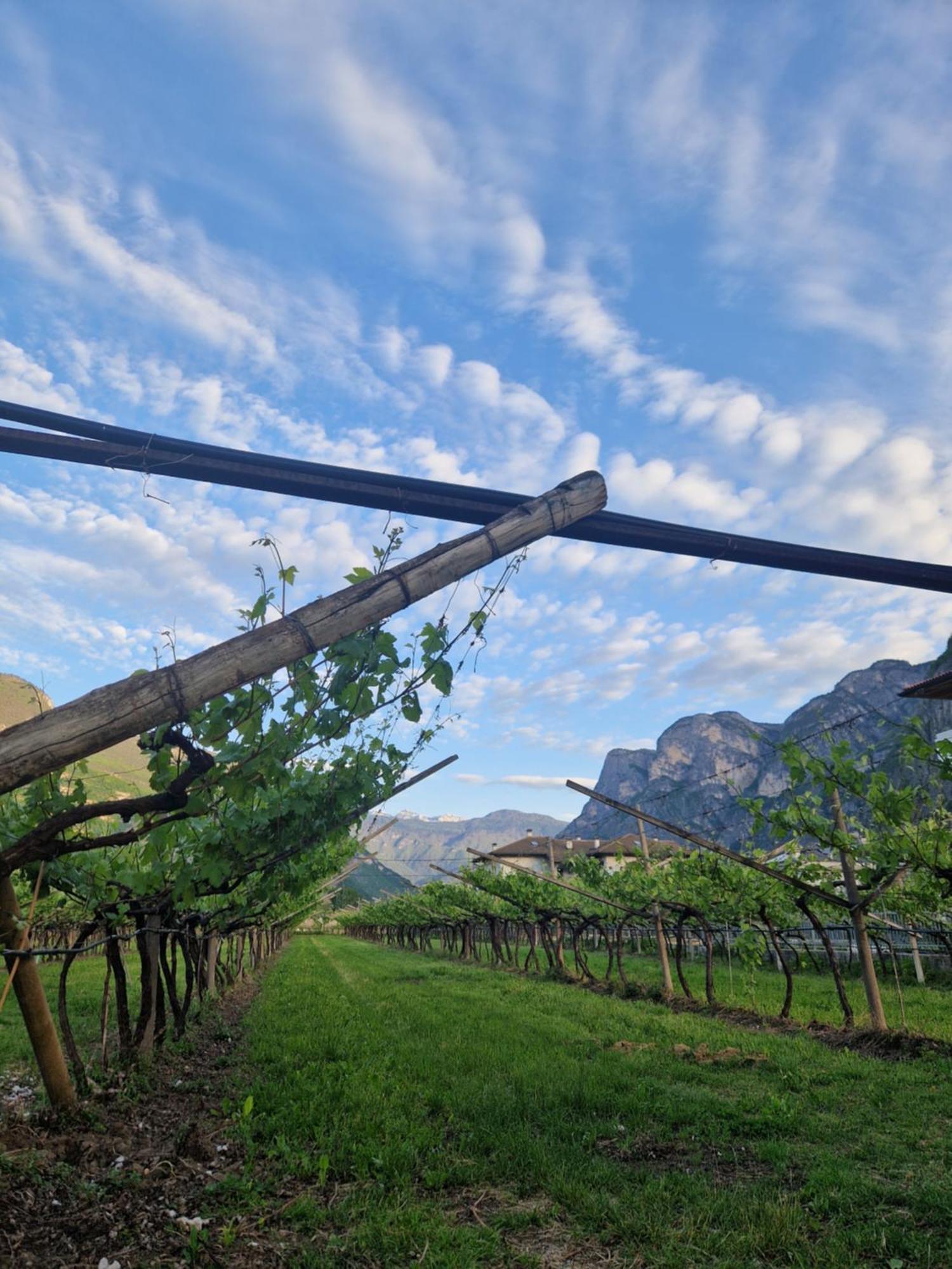 Antico Fienile Agritur Villa Mezzocorona Luaran gambar
