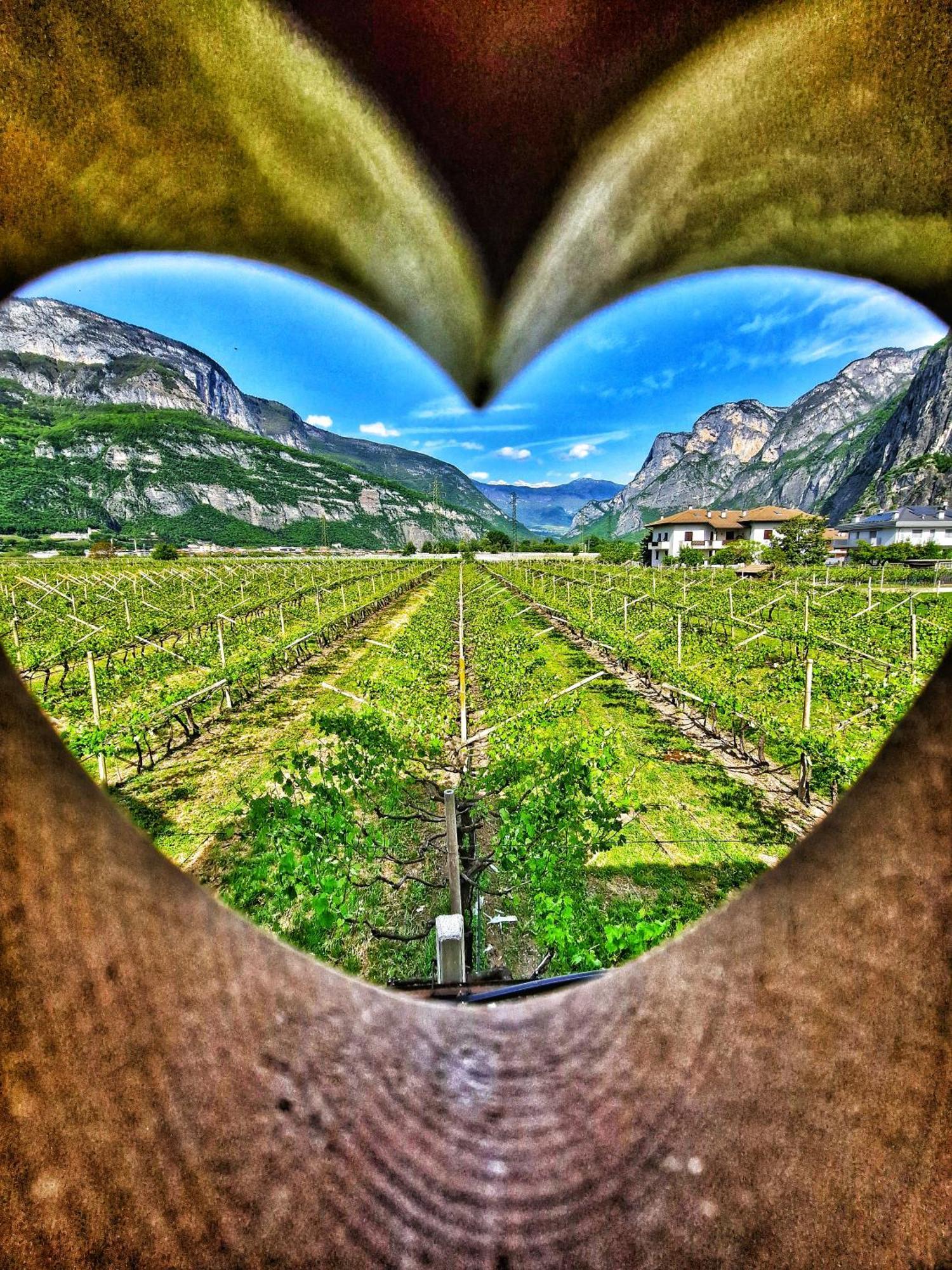 Antico Fienile Agritur Villa Mezzocorona Luaran gambar