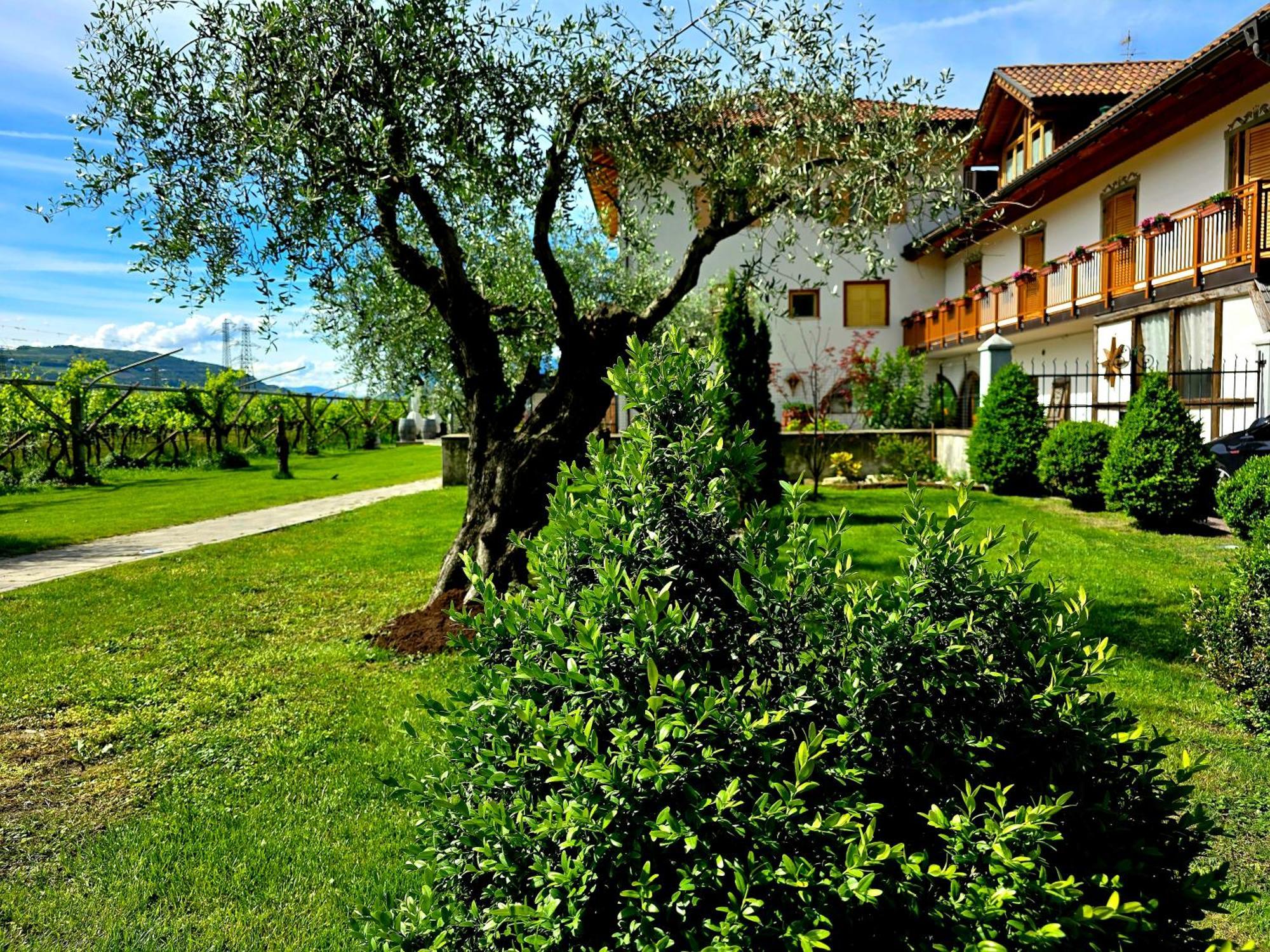 Antico Fienile Agritur Villa Mezzocorona Luaran gambar