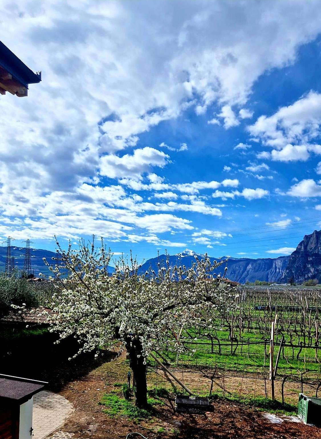 Antico Fienile Agritur Villa Mezzocorona Luaran gambar